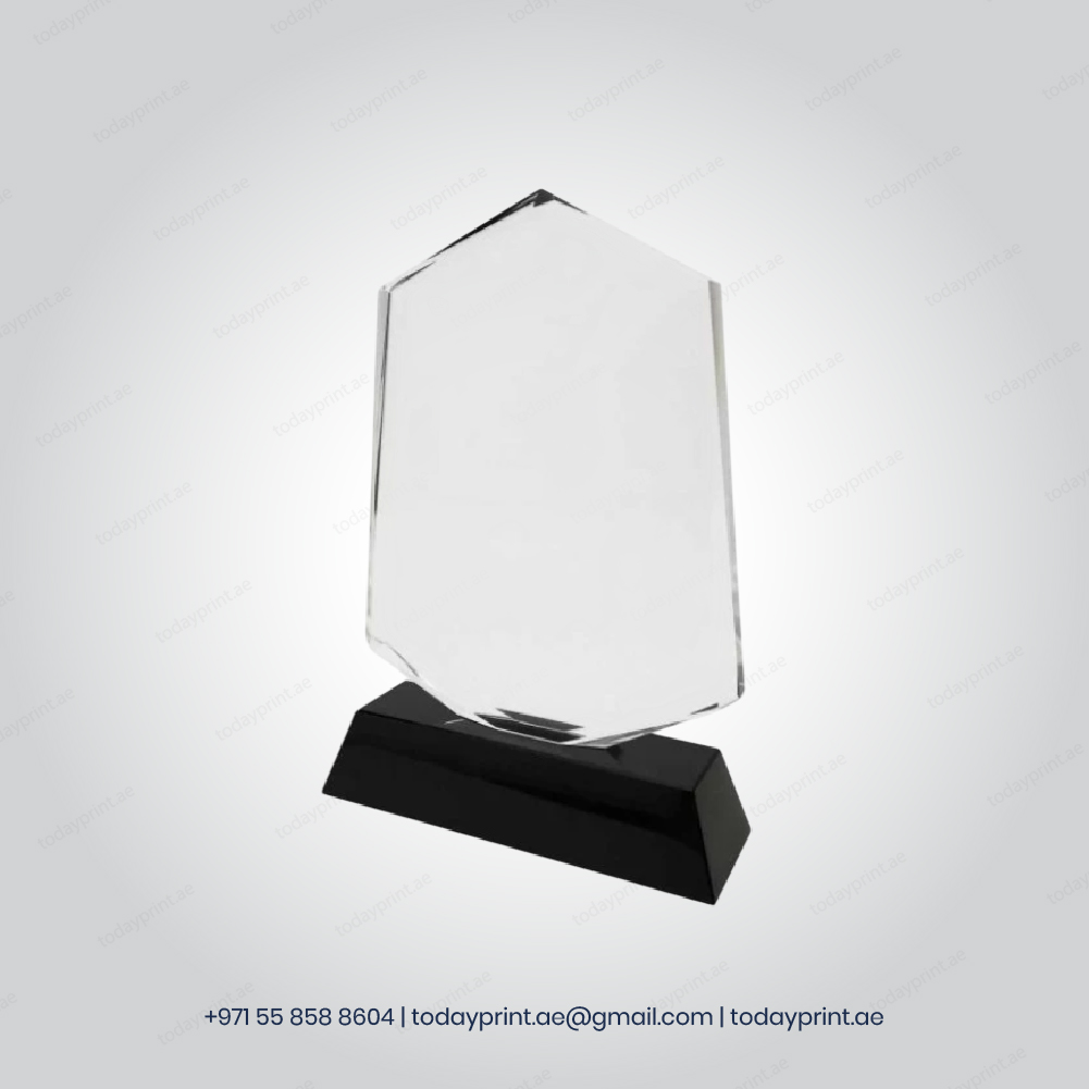 Crystal Awards copy-100 Crystal Awards