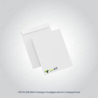 Letterhead & Envelope